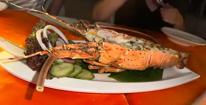 A lobster cut in half on a white plate with salad, cucumber and lemon, on a red tablecloth