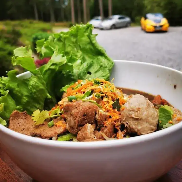 A noodle bowl with braised meat, meatballs and fresh lettuce, trees behind
