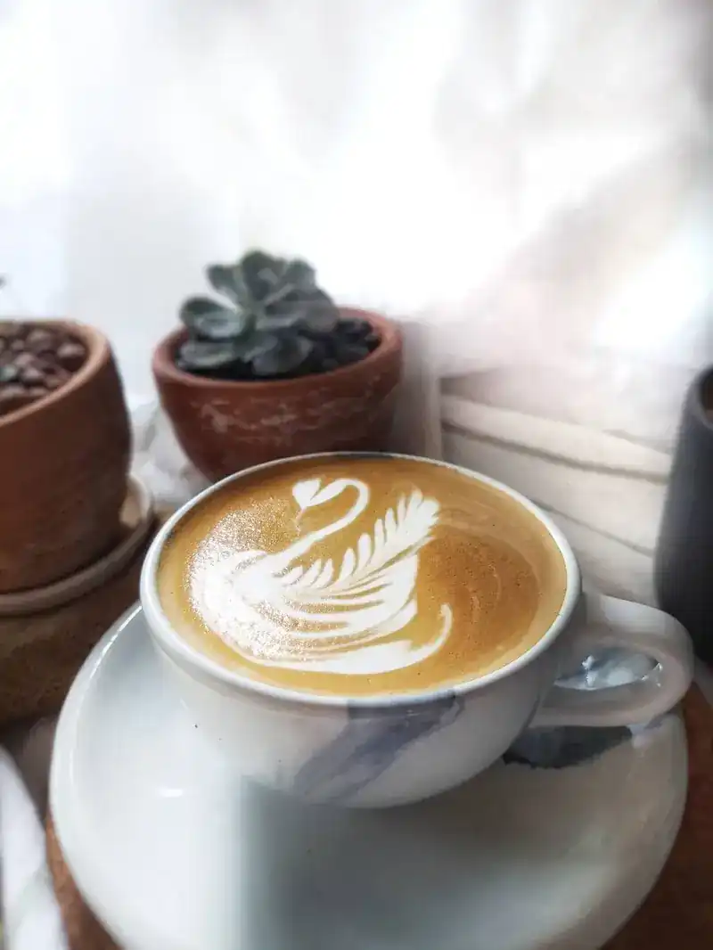 A latte with a swan drawn in the milk foam