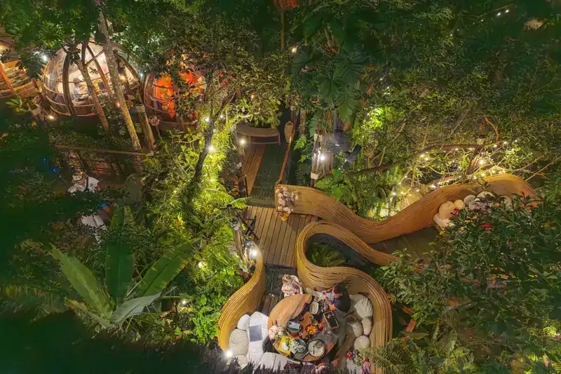 Seen from above at night: woven rattan seats winding through the rainforest under strings of lights
