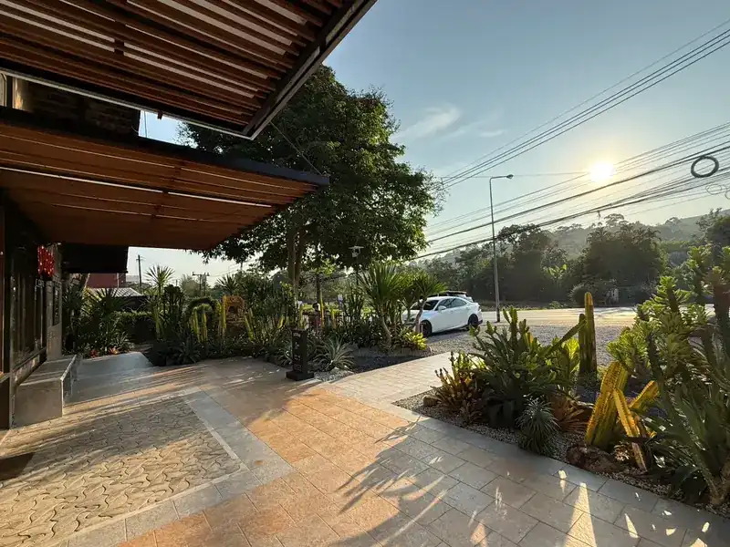 The front terrace in low sun, with a cactus garden along the road
