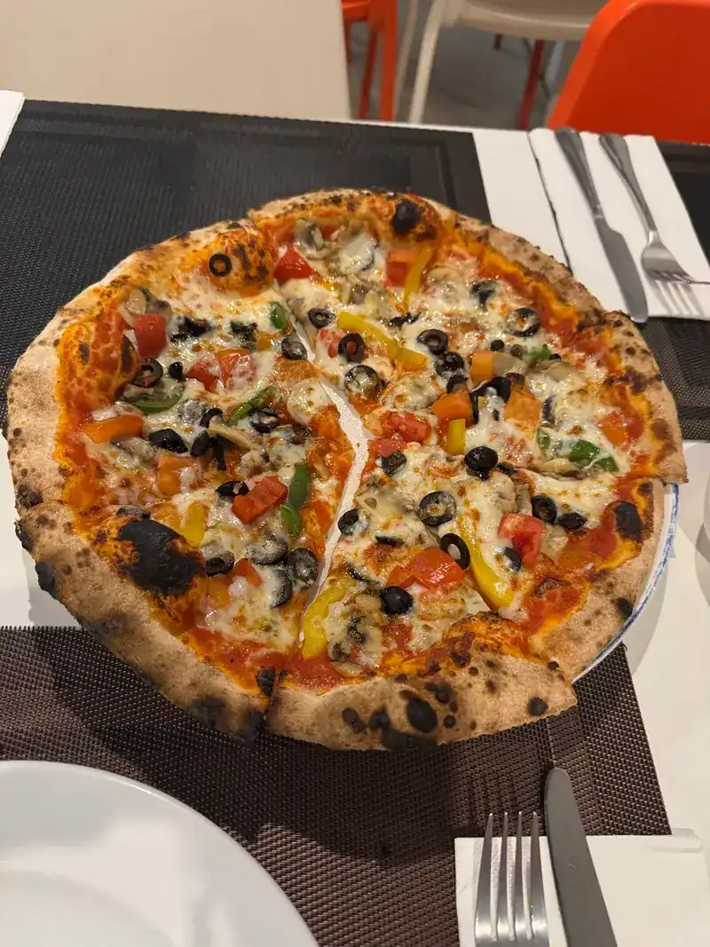 Vegetable pizza with black olives, peppers and tomato, its edge charred by the oven