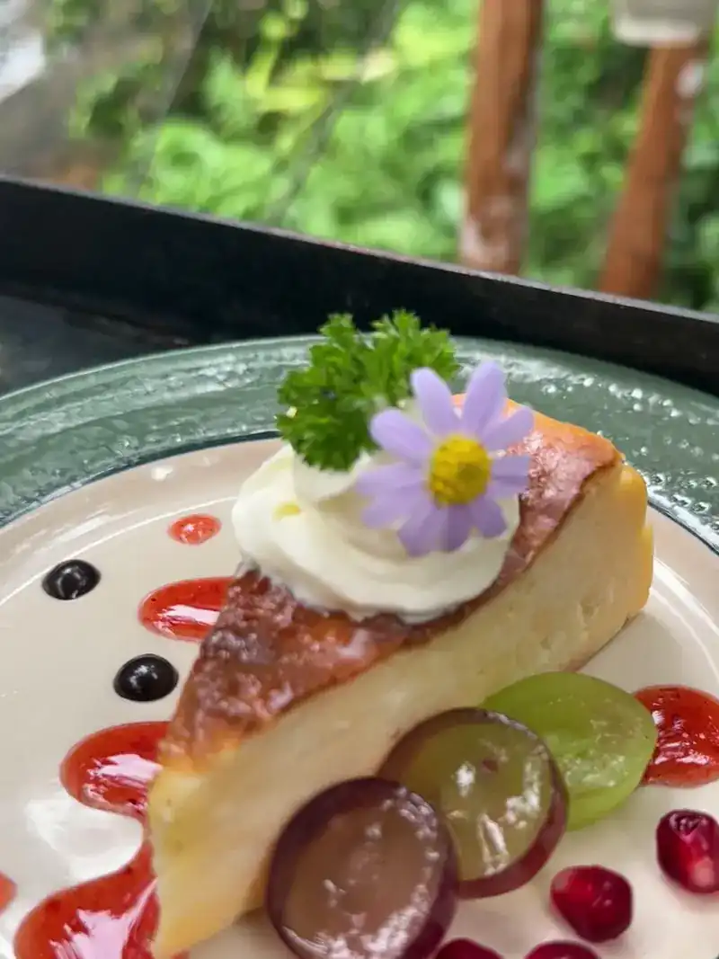 A slice of cake with cream, a purple flower, grapes and pomegranate seeds