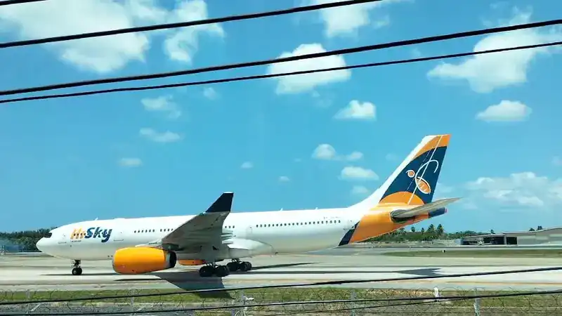 A passenger jet on the runway, behind the power lines