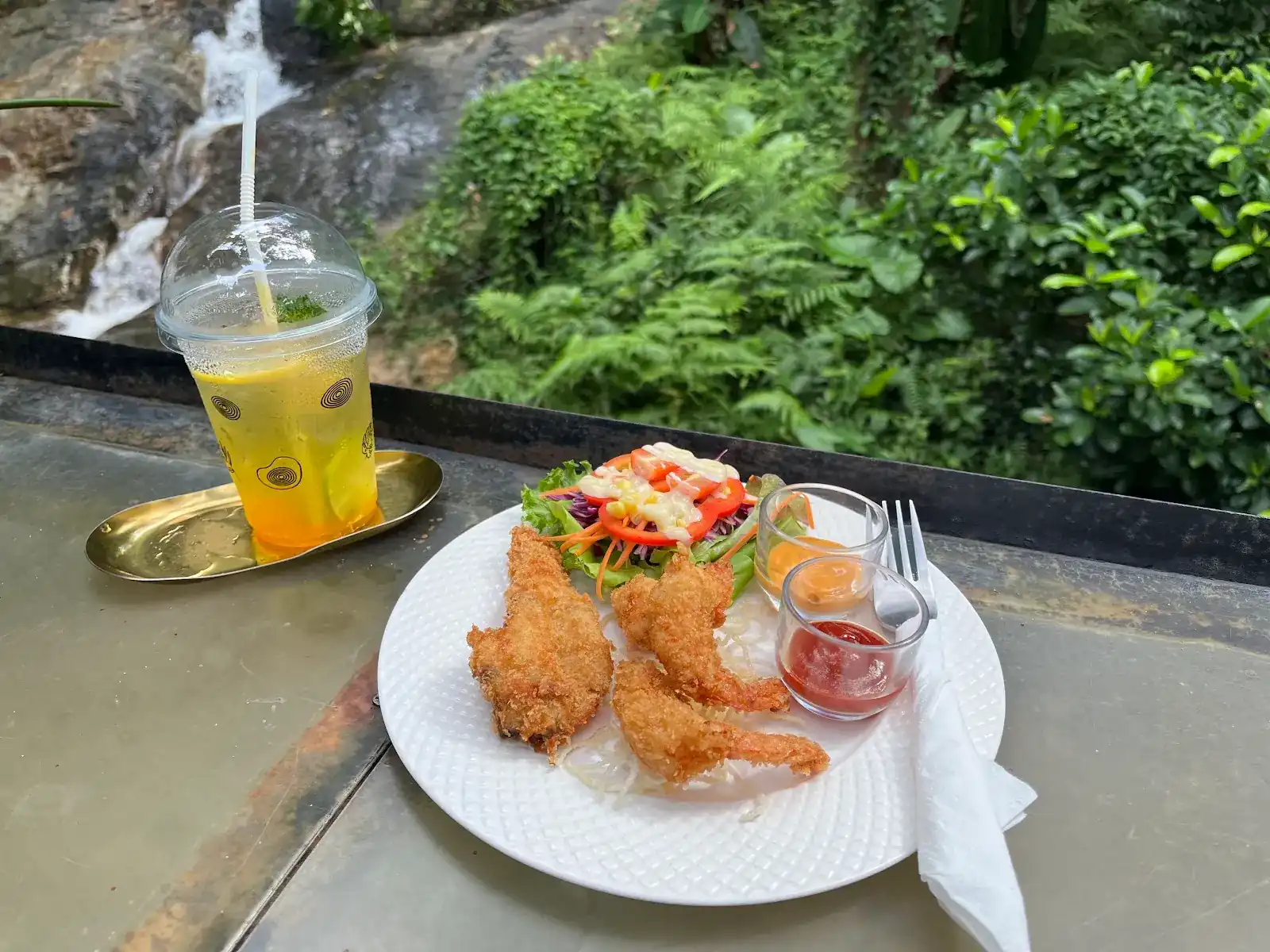 Breaded fried shrimp with salad and an iced drink on the deck rail, the waterfall just behind