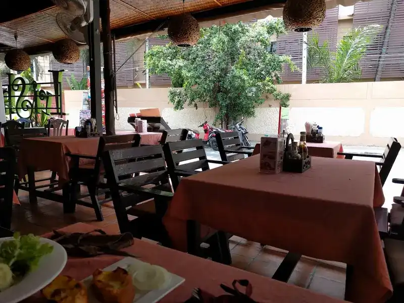 The terrace by day: dark wooden chairs, peach tablecloths and a tree against the wall
