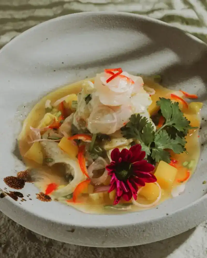 Sea bream ceviche with mango, red onion, chili and coriander in a white bowl
