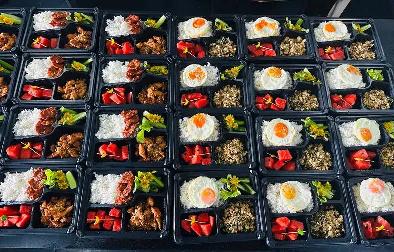 Rows of rice boxes with fried egg, stir-fries, fresh vegetables and watermelon