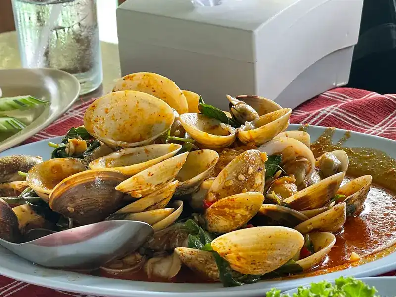 Clams stir-fried with chilli and green herbs on a plate / หอยผัดพริกกับผักสมุนไพรบนจาน
