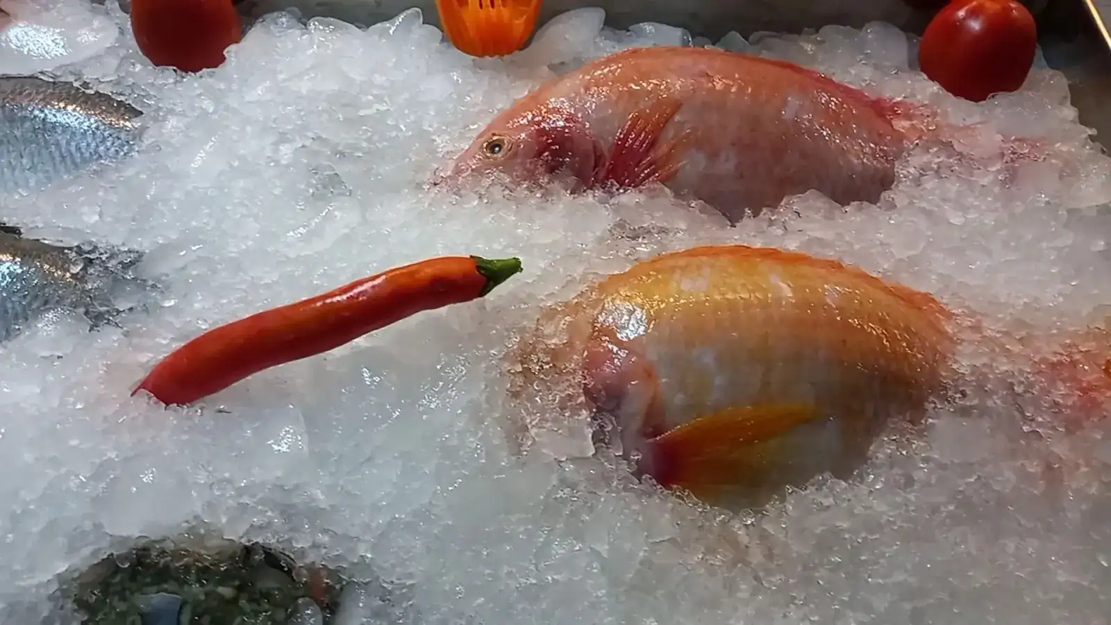 Whole red fish and a red chilli on crushed ice at the shop front / ปลาสีแดงทั้งตัวกับพริกแดงบนน้ำแข็งบดหน้าร้าน