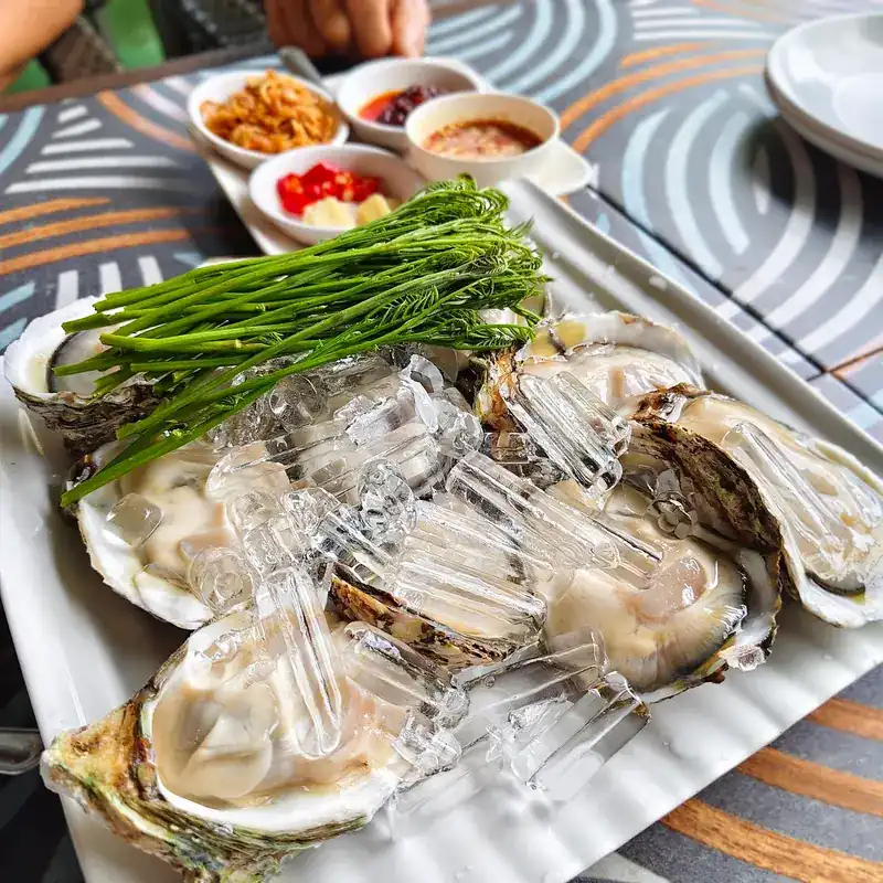 Fresh oysters on crushed ice with greens, fried shallots, chilli and dipping sauce