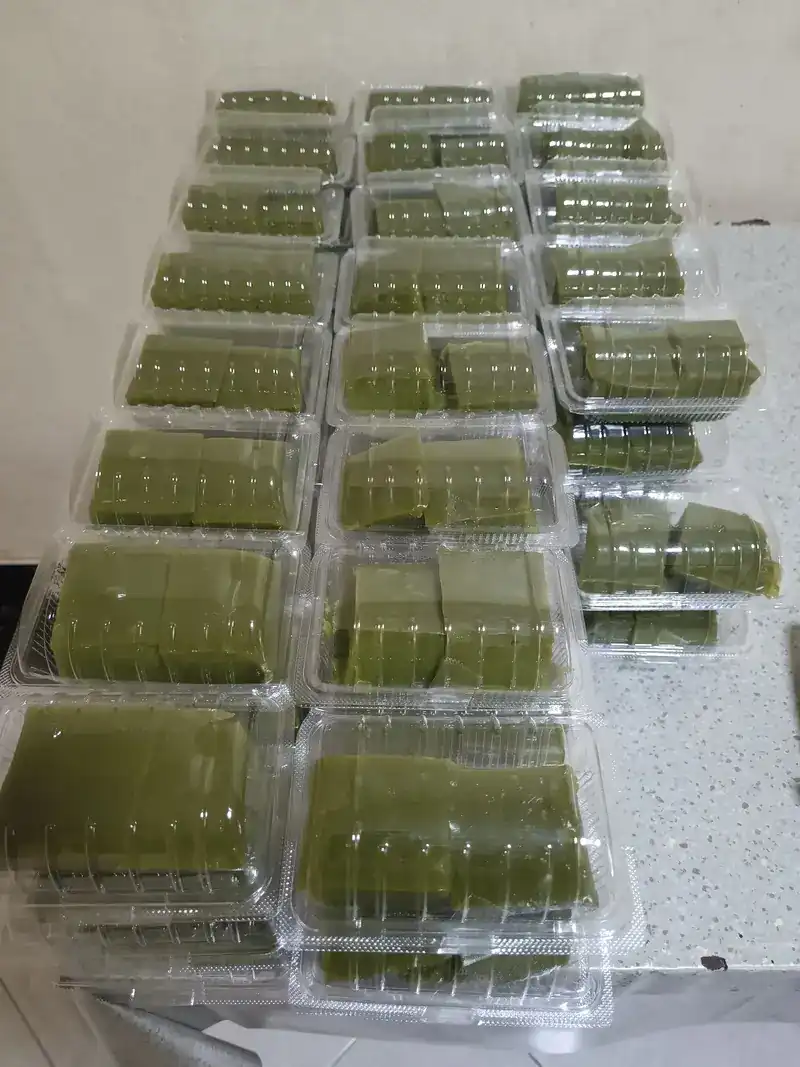 Green squares packed in clear boxes, laid out in rows