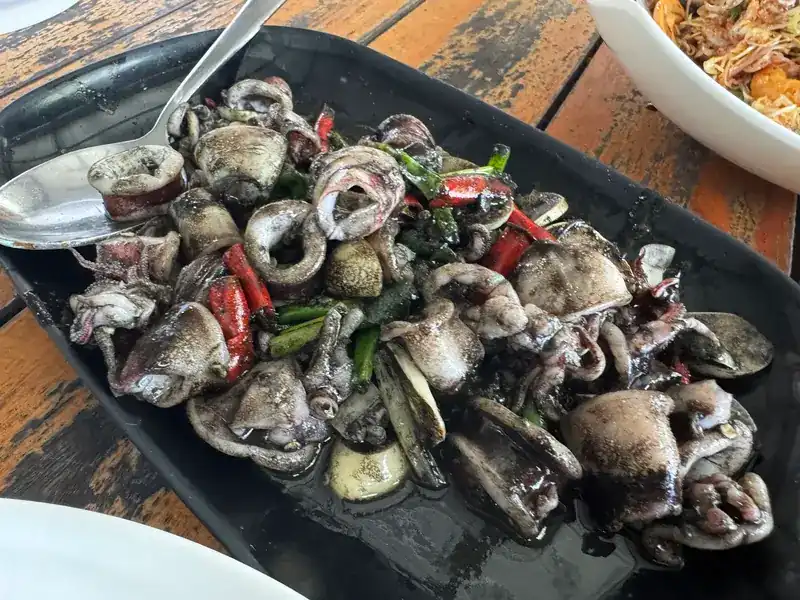 Squid in a dark, glossy sauce with red chilli and spring onion