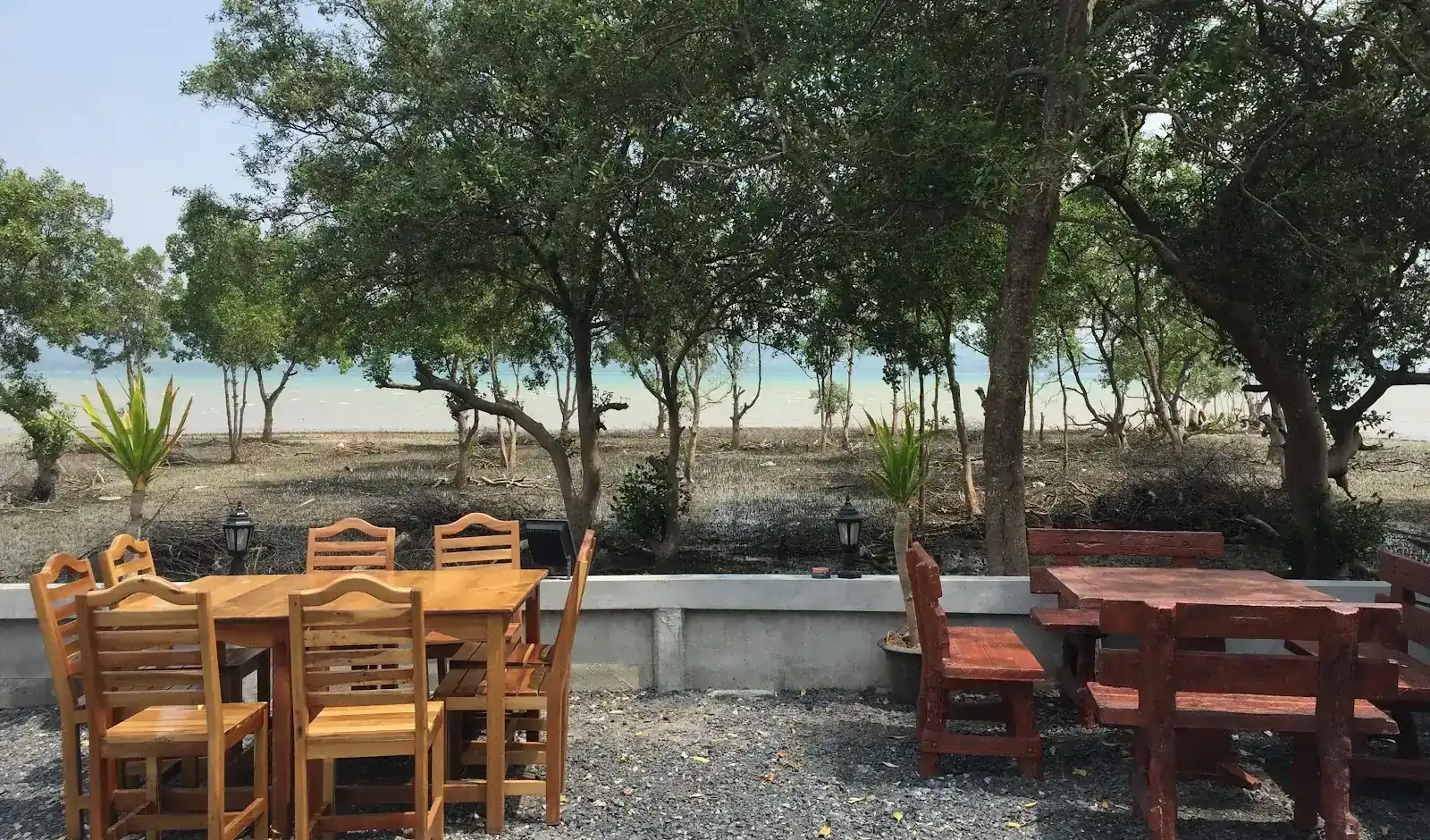 Wooden tables on the gravel by a low wall, with mangrove trees and the sea beyond