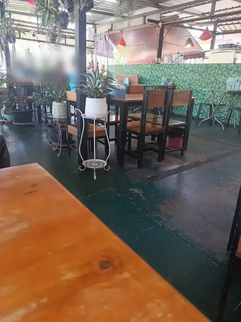 Wooden tables on the green floor, with potted plants