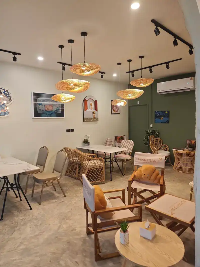 Seating with rattan lamps, wooden chairs and a green wall