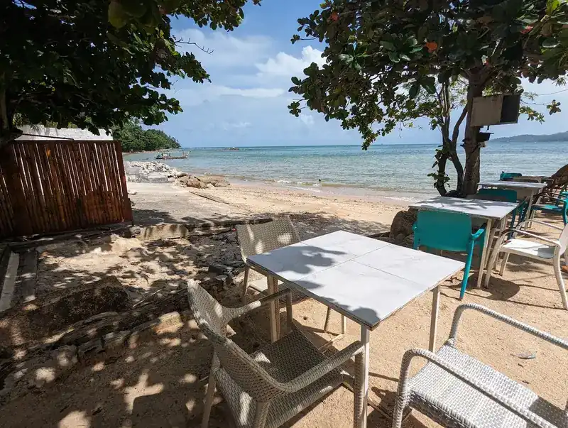 Tables and chairs in the shade of trees beside the sea