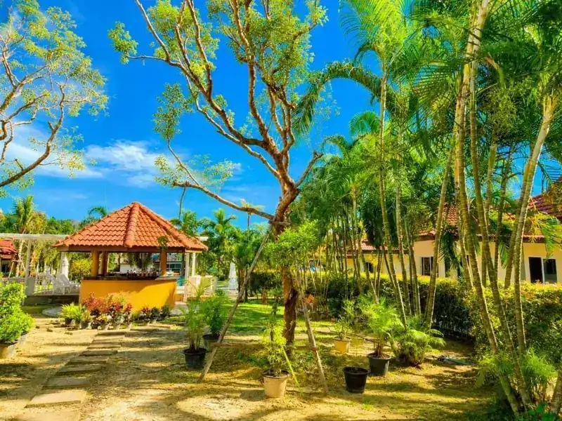 A garden sala with a tiled roof among palm trees