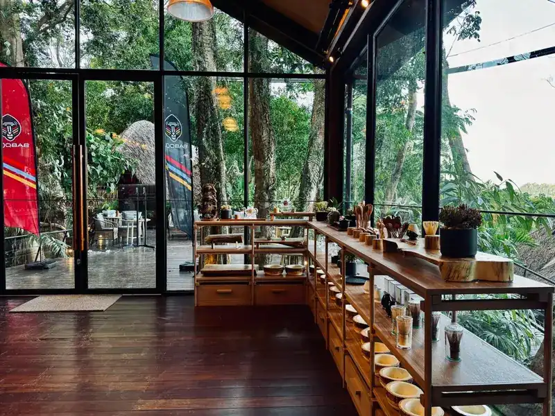 Glass-walled room with dark wooden floor and a long wooden counter, trees on every side