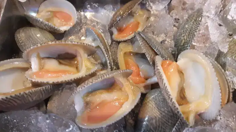 Fresh shellfish opened on crushed ice