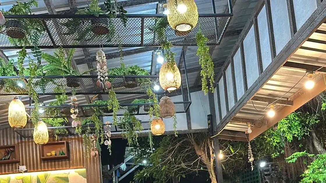 Woven lanterns and hanging ferns over the dining area in the evening
