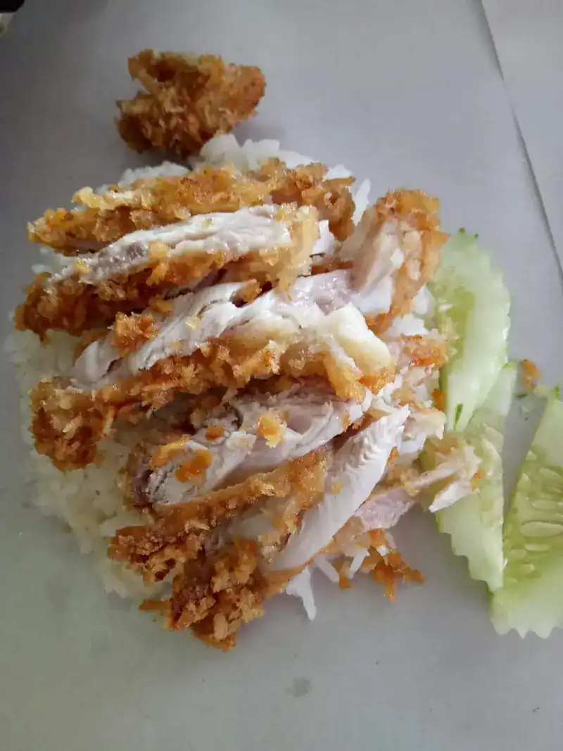 Sliced fried chicken on rice with cucumber