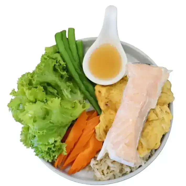 Salmon fillet with omelette, brown rice, carrot, green beans, lettuce and a dipping sauce