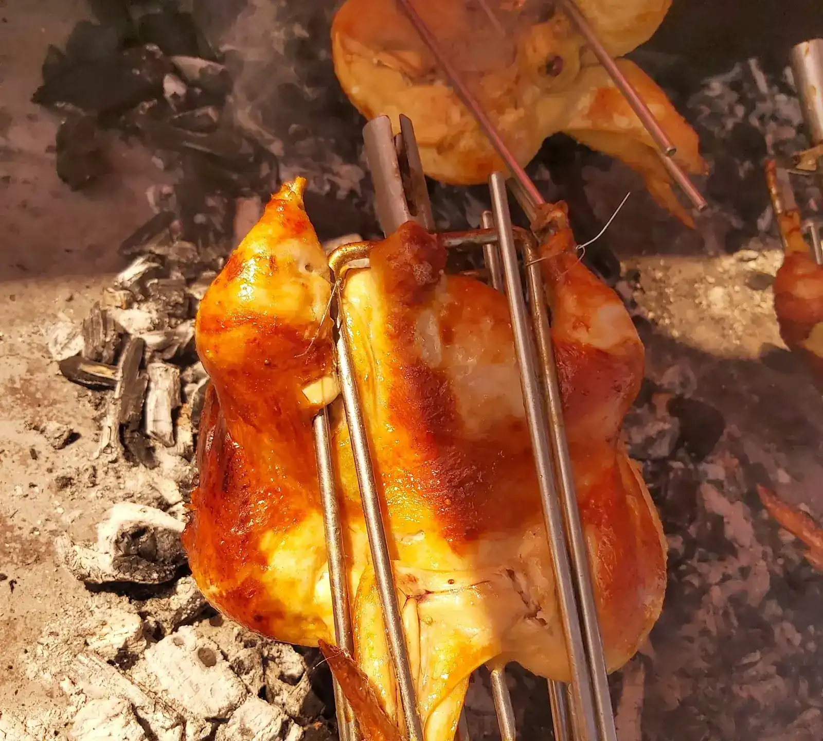 A whole chicken clamped in a steel frame, grilling over charcoal