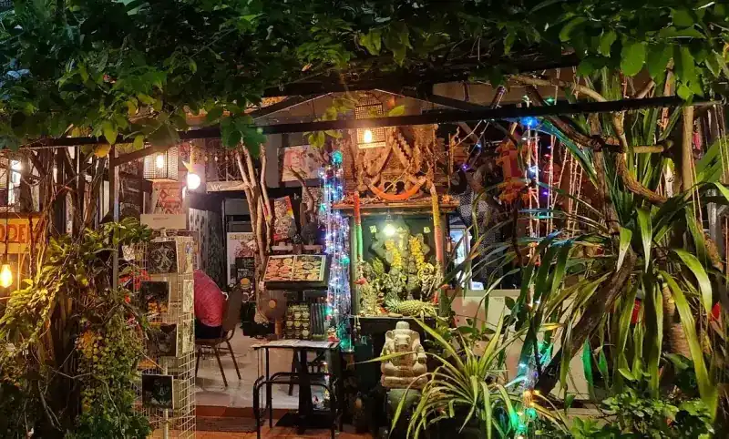 The entrance to Art Space Cafe at night, under trees with lanterns and fairy lights