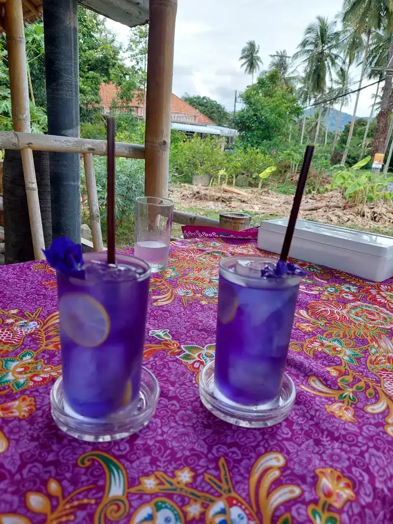 Two butterfly pea drinks with lemon slices on a purple flowered tablecloth