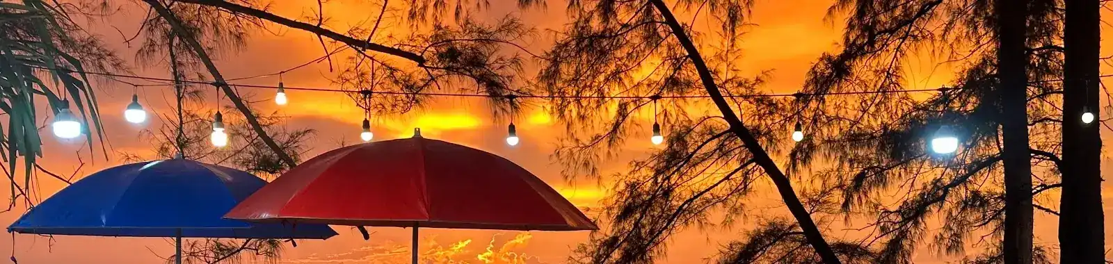 Blue and red umbrellas and string lights under the beach trees at sunset