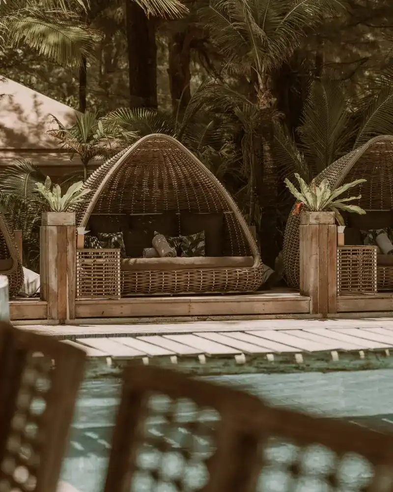 Woven rattan cocoons with cushions on a deck by the pool, under palms
