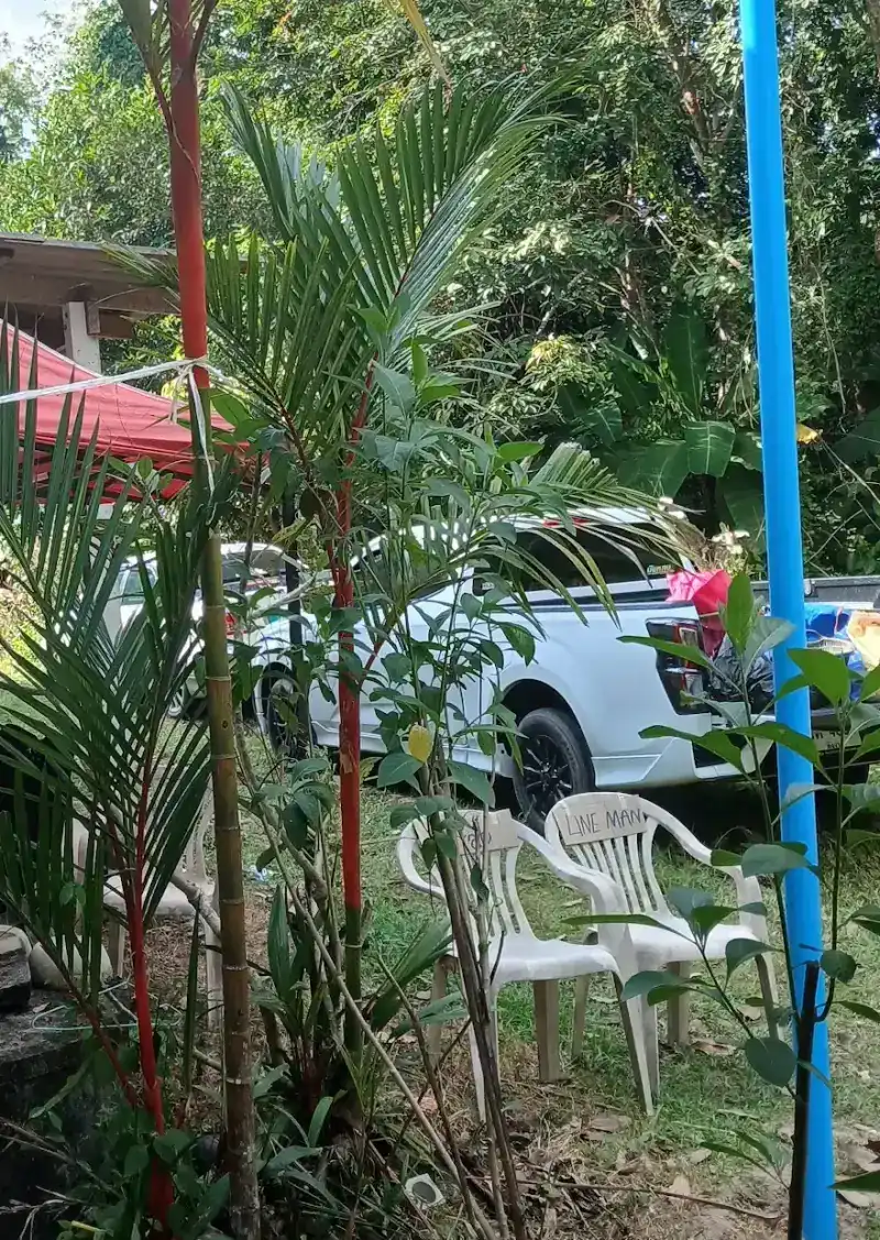 Plastic chairs on the grass under palm trees, with a red canopy behind