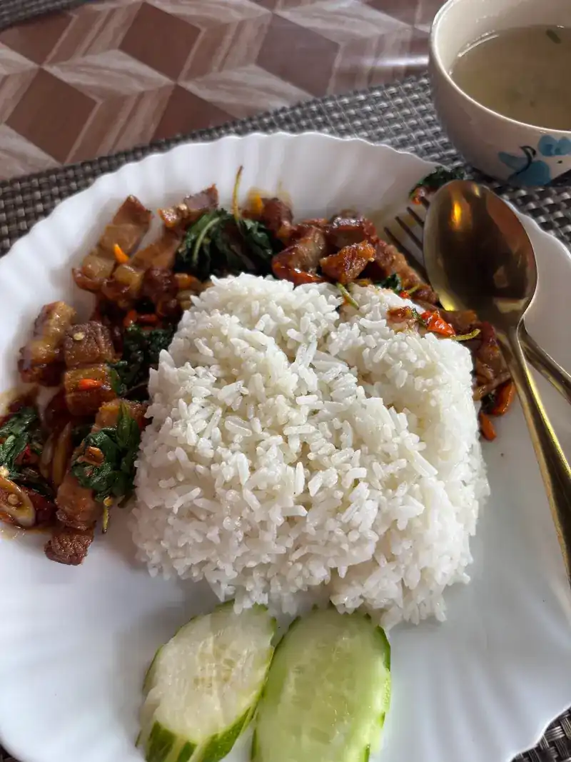 Crispy pork stir-fried with basil, with rice and cucumber