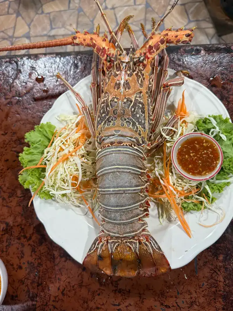 A whole lobster on a plate with salad and a cup of dipping sauce
