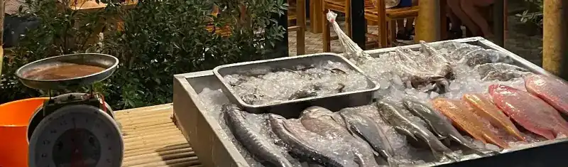 Fish and seafood on ice at the front of the restaurant, next to a kitchen scale
