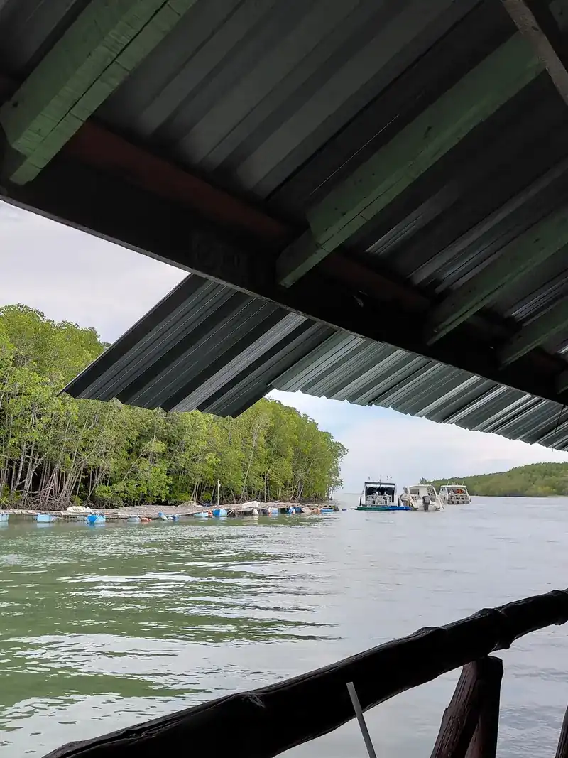 View from under the roof: the water, mangroves and moored boats