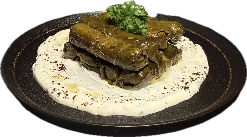Stuffed vine leaves on haydari sauce