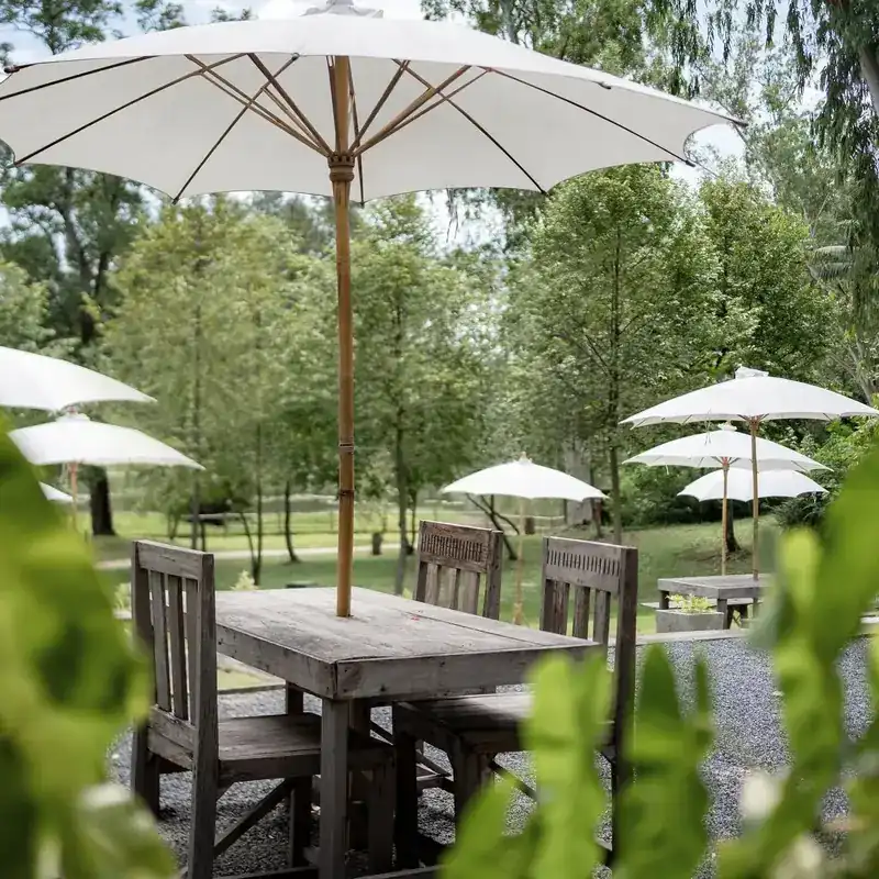 A weathered wooden table under a white parasol, the park behind it