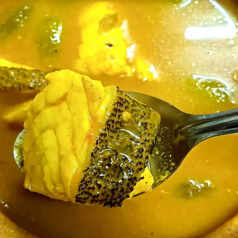 A piece of fish with its skin on, lifted from a yellow curry