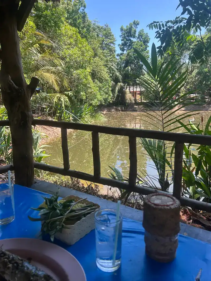 A table with a blue cloth beside a wooden railing, looking over a pond and palm trees