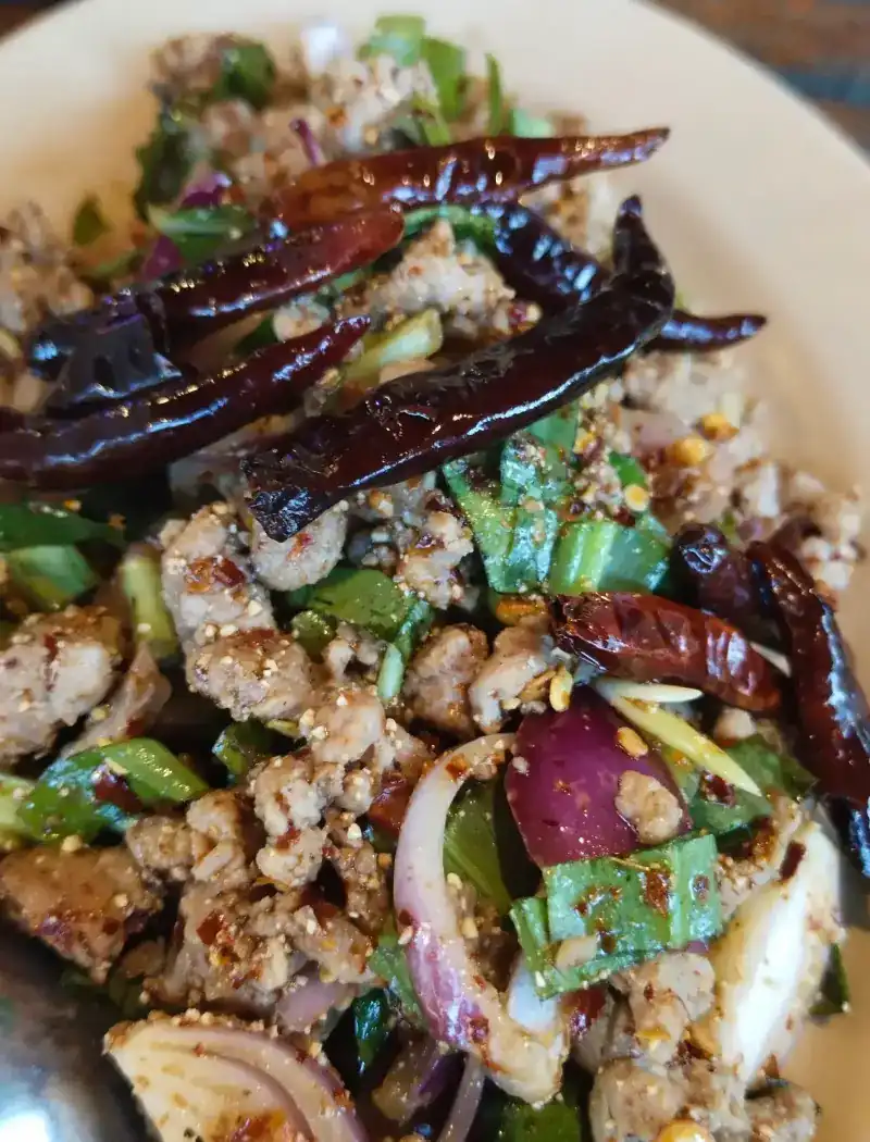 Minced meat with roasted dried chillies, red onion and herbs