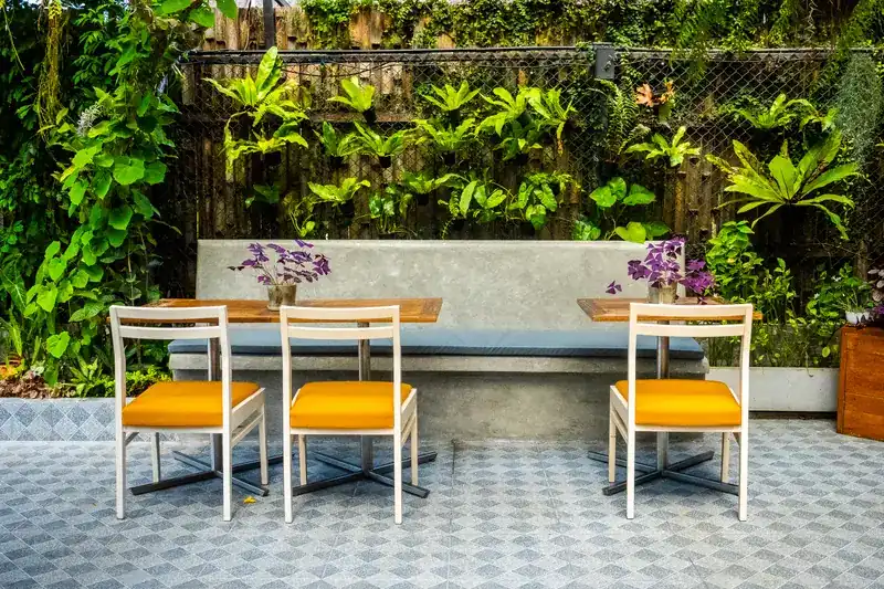 Three chairs with yellow cushions facing a concrete bench under a wall of ferns