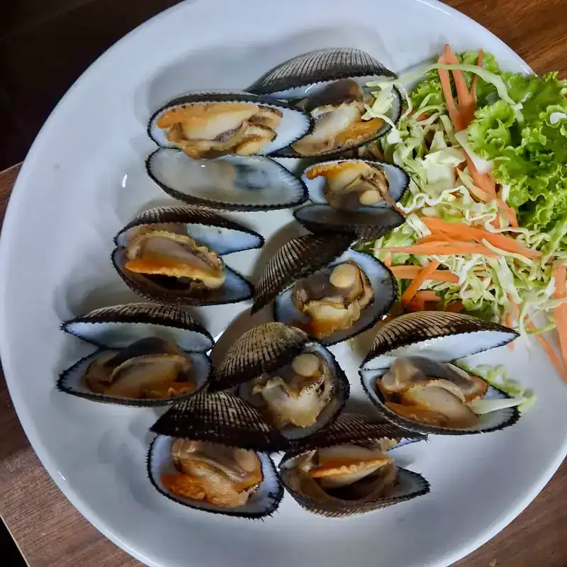 A plate of open shellfish beside shredded salad