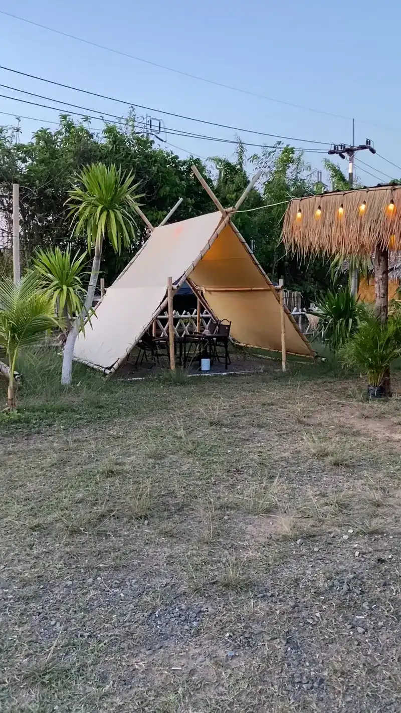 An ochre canvas A-frame tent on bamboo poles, between young palms