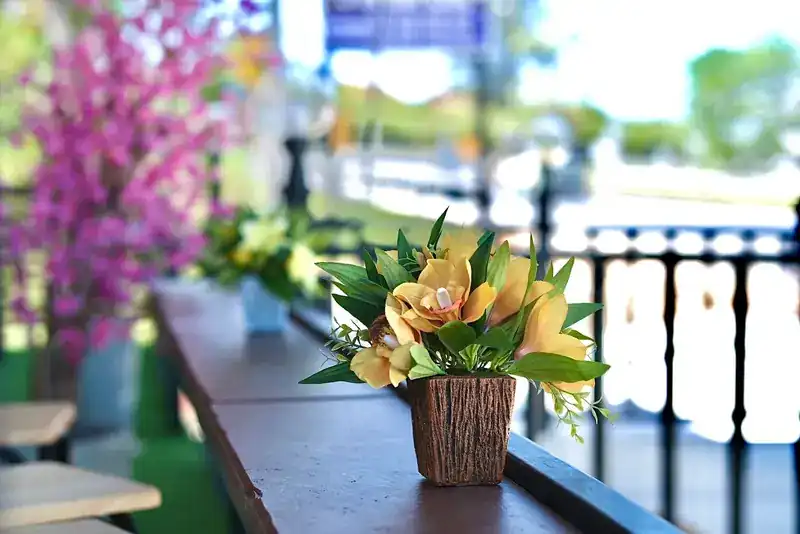 Yellow orchids in a small pot on the rail, pink blossom behind
