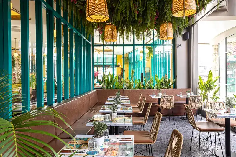Booth seating beside teal window frames, under rattan lamps and hanging plants