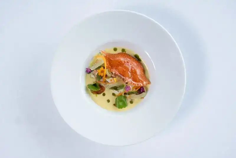 A crab dish with herbs and flowers in a light sauce, seen from above