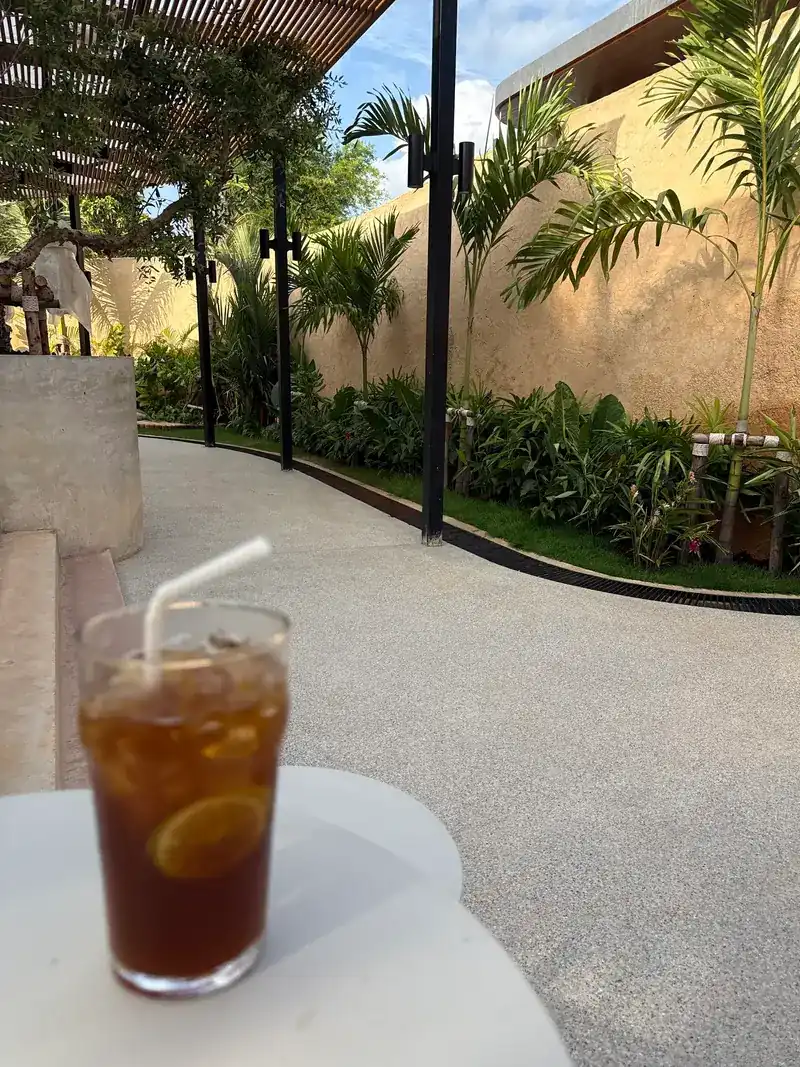 An iced drink with a slice of lemon on the terrace, beside the palm-lined garden path