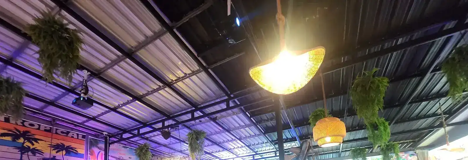 A woven lamp, hanging plants and a tin roof lit purple at night